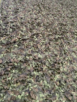 Filet de camouflage en maille pour paintball en promotion