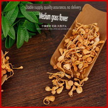 Bán buôn lớn khô Đông Trùng Hạ Thảo hoa đặc biệt lớp ngâm hàng hóa mới Đông Trùng Hạ Thảo bào tử đầu duy nhất gia vị & các loại thảo mộc trong số lượng lớn - Product Image 4