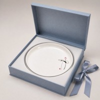 Assiette en mélamine durable et incassable, blanche brillante, certifiée qualité alimentaire, exportation d'usine, vente en gros, restauration