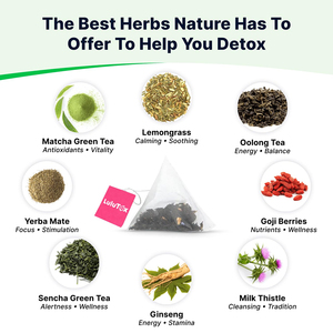 Té de marca privada de alta calidad que apoya un peso saludable, aumenta la energía y la inmunidad, y favorece una digestión regular. - Product Image 5