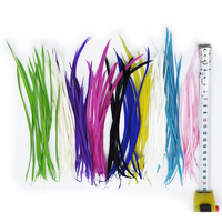 Plumes de canard naturelles de 15-20 cm pour la fabrication de mouches de pêche, artisanat, bricolage, accessoires de costume, bibelots, accessoires de chapeau, décorations de fête et de carnaval