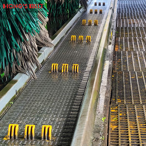 เครื่องล้างรถอัตโนมัติแบบสายพานลำเลียงพลาสติกสมัยใหม่ ฮองส์เบลท์ สำหรับล้างรถ - Product Image 2