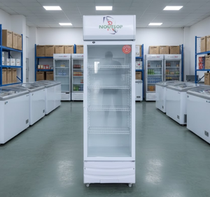 Frigorifero Commerciale Verticale con Porta in Vetro per Esposizione Bevande |   Frigorifero per Bevande a Risparmio Energetico per Supermercati con Porta in Vetro Commerciale - Product Image 1