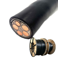 Cable de Alimentación Subterráneo YJV22 de 0.6/10kV con Doble Blindaje para Estaciones de Energía, Minería e Ingeniería, Cableado Antipresión