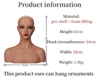 Support de perruque en PVC de haute qualité en gros, modèle 42 cm, femme européenne, maquillage, accessoires pour oreilles percées