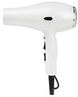 Sèche-cheveux professionnel Ronggui électrique AC 1800-2100W haute puissance en plastique pour salon, deux vitesses, avec buse concentratrice et réglage de la température