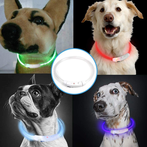 Collar <span class=keywords><strong>LED</strong></span> Recargable USB-C al por Mayor, Elegante Collar de Plástico Brillante para Perros y Gatos para Seguridad Nocturna - Product Image 2