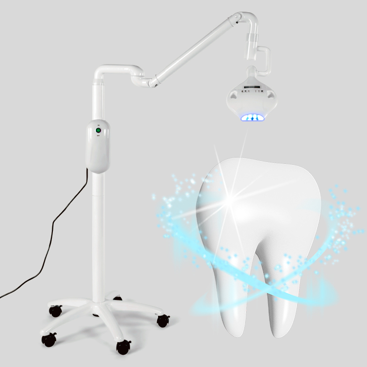 High Quality Wholesale Dental Teeth Whitening