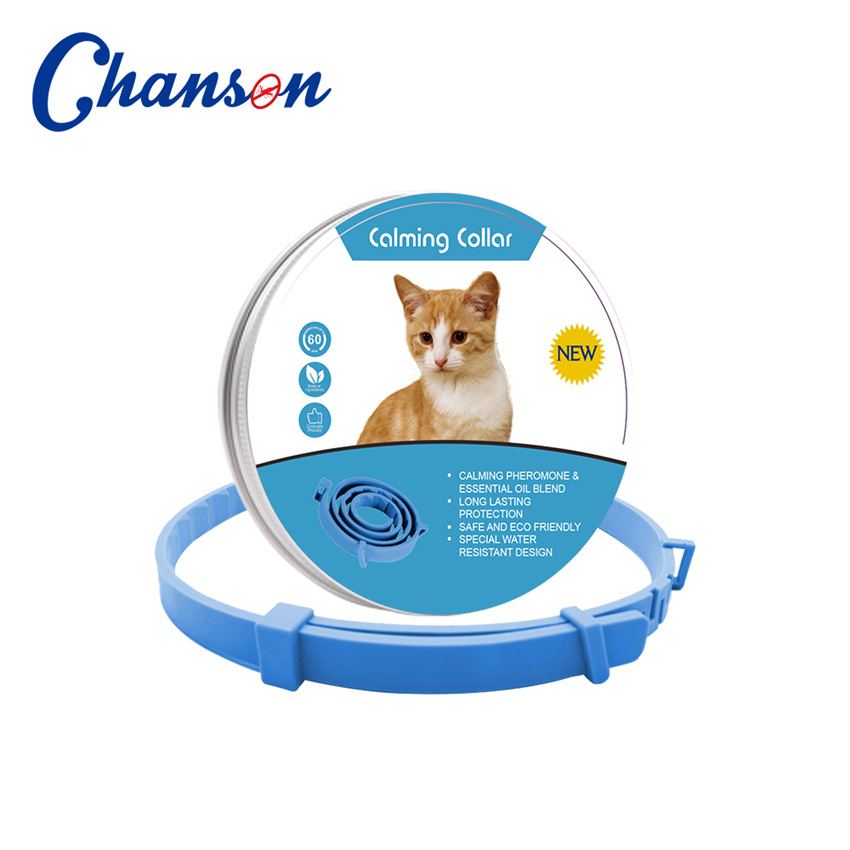 Bleu (chat)