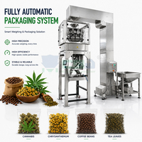 Machine d'emballage entièrement automatique haute productivité pour feuilles de thé, chrysanthèmes, grains de café, produits alimentaires, avec étiquetage pour boîtes, sacs et pochettes