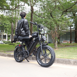 จักรยานไฟฟ้า X50 รุ่น City Bike ขนาด 20 นิ้ว มอเตอร์ไร้แปรงถ่าน 250 วัตต์ เกียร์ 7 สปีด โครงอะลูมิเนียม ระบบกันสะเทือนคู่ หน้าจอ LCD ใช้พลังงานจากแบตเตอรี่ - Product Image 2