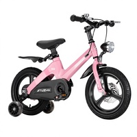 Vélo pour enfants personnalisé, garçons et filles de 3 à 6 ans, cadre en alliage de magnésium, cadre en acier allié, freins à double disque, cadre Softail