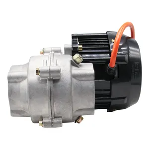 Chinese Factories Kit Electrico Para Auto Electrico Moto 1Kw Brushless Heavy Duty Dc Motor