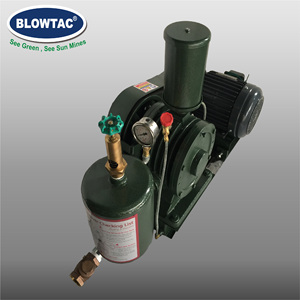 Offre Spéciale de qualité supérieure à longue durée de vie Souffleur rotatif à palettes-650 pour le transport aérien - Product Image 3