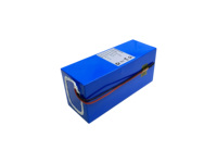 Paquete de batería de iones de litio de tamaño pequeño 24V 25,6 V 20Ah 30Ah 26650 32700 LiFePO4 con BMS incorporado para robots de desinfección médica solar