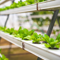 Serre intelligente pour légumes à feuilles, équipée d'un kit de culture hydroponique et d'un système d'irrigation hydroponique