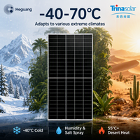 Panneau solaire Trina Solar 625-650W de type N pour verre double bifacial 210 mm, efficacité de 24,1 %