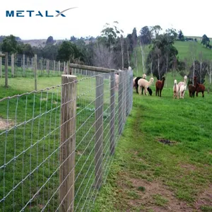 Clôture de terrain de mouton en métal galvanisé, clôture de jeux électriques pour 3 m, clôture à charnière pour le betail à bas prix