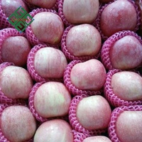 Chinese Appel Heerlijke Koninklijke Gala Appels Verse Rode Fuji Appel