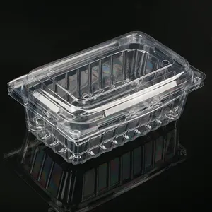 Special Hot Selling Price Disposable Fruit Plastic Clear Packaging Food Box