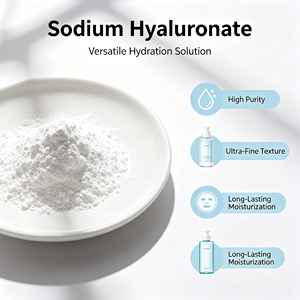 Hialuronato de Sodio Catiónico en Polvo de Alta Pureza - Ingrediente para el Cuidado del Cabello y la Piel (Hidratante y Antiestático) - Product Image 1
