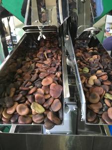 Pesatrice lineare a testa singola per la pesatura di piccoli granuli - Product Image 3