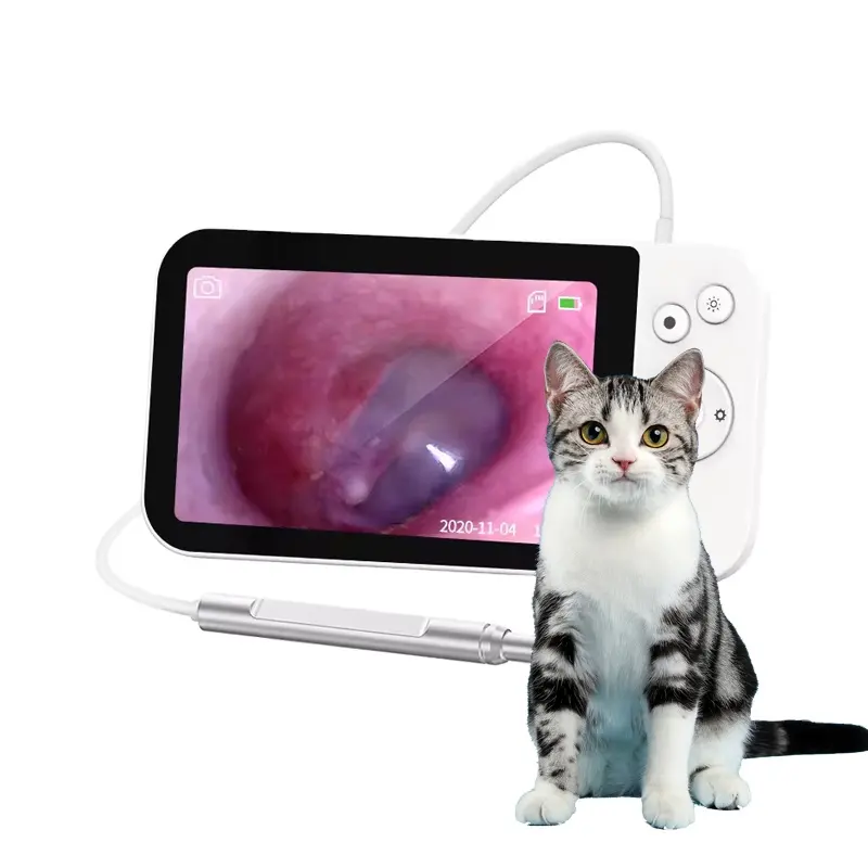 Портативные Ветеринарные продукты, интеллектуальный контроль температуры, визуальный отоскоп для ушей, ветеринарный видеоотоскоп с ЖК-экраном