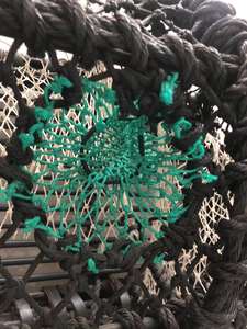 Durable nouveau style de mode populaire piège à crabe piège à <span class=keywords><strong>homard</strong></span> piège à crevettes <span class=keywords><strong>moins</strong></span> <span class=keywords><strong>cher</strong></span> en gros - Product Image 3