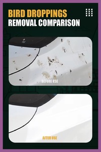 <span class=keywords><strong>Limpiador</strong></span> de Autos Concentrado Glenby G63 para Interiores y Exteriores con Cepillo, Eliminador de Manchas de Insectos para Detallado de Autos - Product Image 6