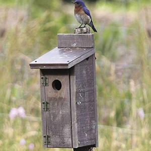 Круглая квадратная петля в антикварном стиле, винтажная, из железа, плоская, 180 градусов, для дверей и мебели, для кухни, Китай - Product Image 5