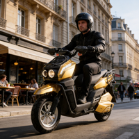 Vélo électrique sportif haute vitesse pour adultes, scooter moto 72V 2000W, batterie lithium puissante, vélo électrique Speed Choppers