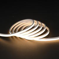 Bande lumineuse LED néon mini PVC 6x10mm IP68 24V, éclairage plat lumineux, flexible, pour enseignes publicitaires DIY, décoration intérieure