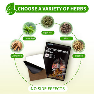 제조업체 도매 석고, 패치 및 중국 허브 보조 금연 패치 - Product Image 3