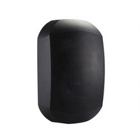Paire d'enceintes murales étanches pour intérieur et extérieur avec TWS 5.1 et amplificateur de classe D pour enceinte murale audio Bluetooth