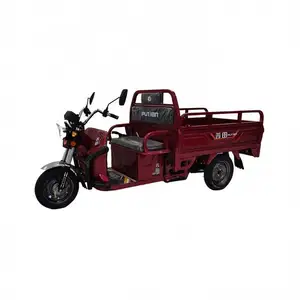 Genuine Scooter Front Cargo Rack Hot Sell Tricycle Sale Tipper Adult Three Wheel Heavy Duty Trike Pedicab Electric Motorcycle