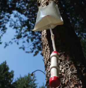 Purificateur d'eau à gravité avec fonction de rétrolavage, filtre haute capacité pour l'aide humanitaire, les interventions en cas de catastrophe et les zones rurales - Product Image 5