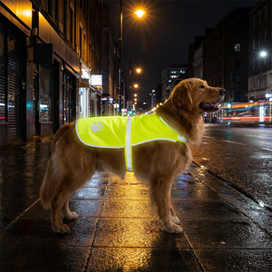 गर्मियों के लिए बेहतर दृश्यता के लिए फ्लोरोसेंट कुत्ते वर्कवियर एक्स xl xl xl पॉलीएस्टर सुरक्षा कपड़े - Product Image 5