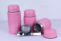 Haute qualité 750ml Double paroi en acier inoxydable isolé pot de nourriture sous vide cuillère de grande taille Logo personnalisé thermos haute température