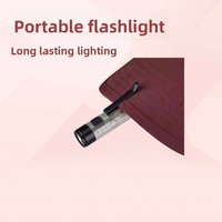 Mini lampe torche LED multifonction rechargeable à clip pour porte-clés, longue portée 500m, idéale pour l'extérieur et les situations d'urgence – Vente directe usine