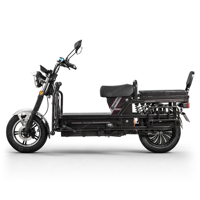 SIGOTECH Prix usine OEM Moto cargo électrique robuste en acier 1000 Watts 72 Volts pour charges lourdes