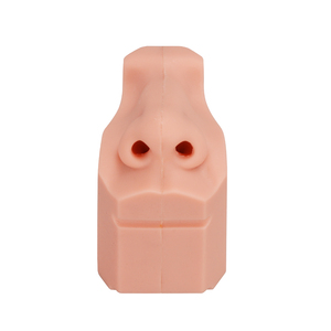 Medical Education Manikin PVC <strong>Nasal</strong> Cavity Training Model for Medical School Dental Teaching <strong>Skeleton</strong> Model for Medical Science - Product Image 1