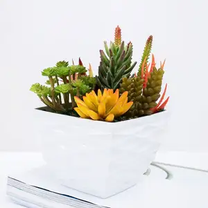 China suppliers Best price Office small decoration artificial succulent plants potted