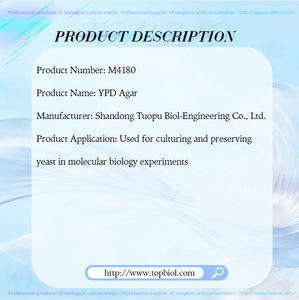 Agar YPD Utilizado para el Cultivo y Preservación <span class=keywords><strong>de</strong></span> Células <span class=keywords><strong>de</strong></span> Levadura en Experimentos <span class=keywords><strong>de</strong></span> <span class=keywords><strong>Biología</strong></span> <span class=keywords><strong>Molecular</strong></span> - Product Image 2