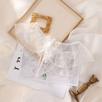 2025 beauté dame dentelle Nylon culotte en gros taille moyenne Sexy voir à travers bout à bout dentelle slips pour femmes sous-vêtements Lingerie