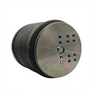 PANSHI Nuevo Resorte Neumático para Eje de Remolque de Alta Resistencia OEM 0542940611 Pieza de Repuesto - Product Image 1