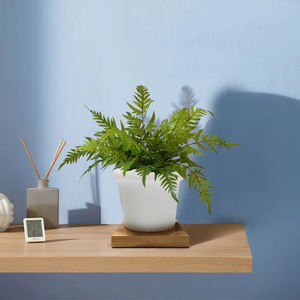 Pot de fleurs pour l'extérieur, lampe décorative <span class=keywords><strong>LED</strong></span> pour jardin, cour, salon, balcon - Product Image 4