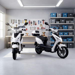 Scooter <span class=keywords><strong>électrique</strong></span> haute vitesse 1000W homologué EEC COC, sans <span class=keywords><strong>permis</strong></span> requis pour les trajets quotidiens des adultes, directement de l'usine - Product Image 2