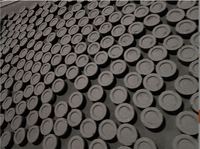 Charbon à chicha en bois de fruit de 40 mm - Allumage rapide, longue durée, charbon à chicha pour bar, salon, maison
