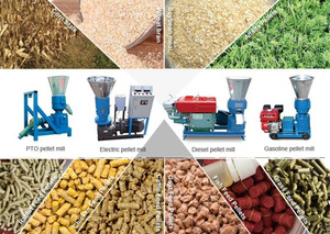 Machine à granulés d'alimentation pour poissons de poulet de volaille 230v pto 1ton - Product Image 6