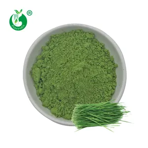 Fabricant de poudre de jus d'herbe de blé verte biologique naturelle de qualité supérieure soluble dans l'eau